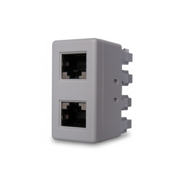 שקע גוויס כפול עם שני חיבורי RJ45 מסוככים CAT5e
